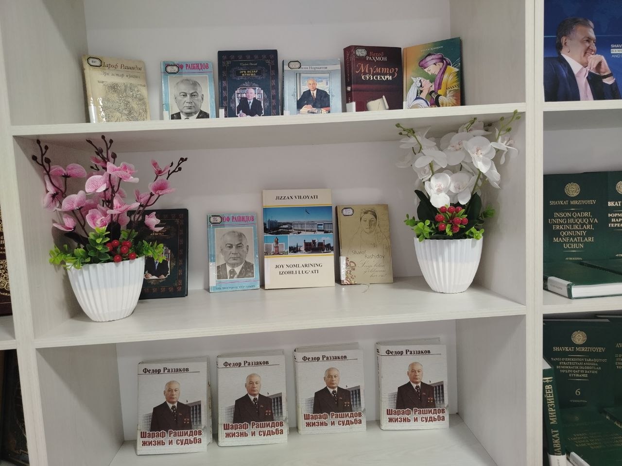 Bibliografik obzor